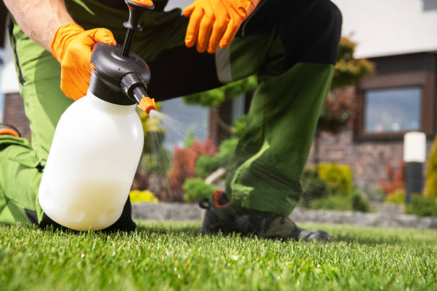 Best Wasp Removal Services  in Cherry Hills Village, CO